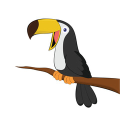 toucan bird vector illustration toucan sitting on branch design