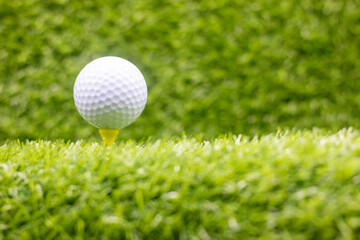 Golf ball on tee is on green grass background