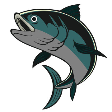 tuna fish vector illustration cartoon design