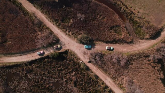 Top-Down Aerial View: Four Vintage 2CV Cars Driving Through the Paths of Camargue