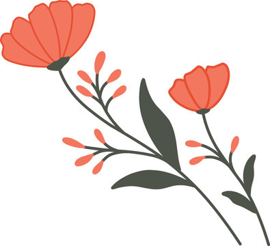 Hand drawn vector abstract floral illustration with poppies and leaves isolated on white background