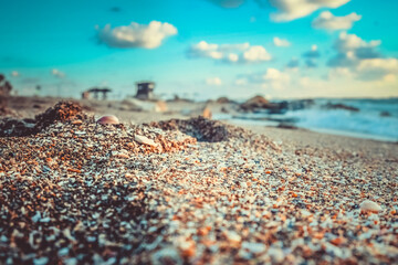 beach and sea