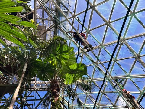 Cairns ZOOM and Wildlife Dome Queensland Australia