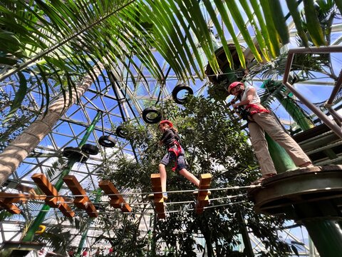 Cairns ZOOM and Wildlife Dome Queensland Australia