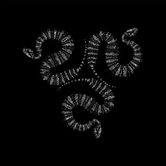 3 death adder snakes hand drawing vector isolated on black background.