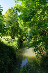 Fototapeta na wymiar Rimarde river in Estouy village. Centre-Val-De-Loire region