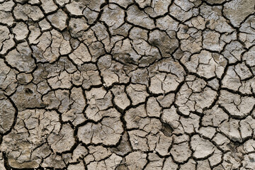 Texture of the dried earth with clay and sand, close-up
