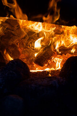Campfire flame in the dark. Visible flames and hot coals. Close-up.