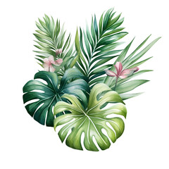 Naklejka na ściany i meble palm, plant, illustration, botanical, tropical, leaf, jungle, watercolor, drawing, nature, exotic, summer, green, floral, hawaii, isolated, design, decoration, wallpaper, foliage, art, tropic