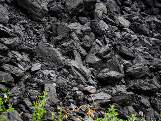 Background texture of black coal. close-up