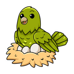 Cute green canary cartoon with eggs in the nest