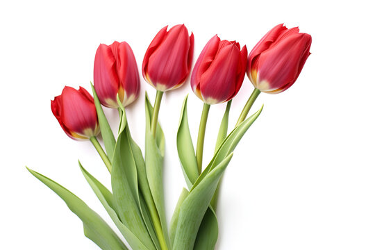 bouquet of tulips Generative Ai