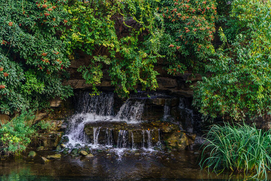 Scenery of Wulongtan Park in Jinan, Shandong, China