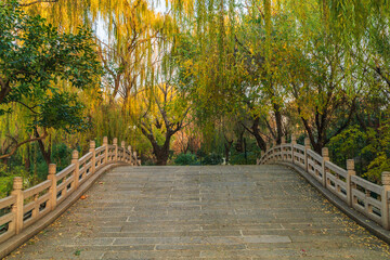 The spring city of Jinan in golden autumn, the colorful autumn colors of Daming Lake Scenic Area