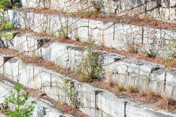 Industrial Terraces of the Old Abandoned Marble Quarry with Growing Young Trees
