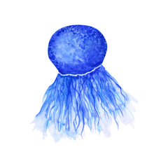 Watercolor jellyfish isolated on a transparent background. Hand-drawn blue Medusa illustration. Underwater wildlife clipart. Jellyfish print. Cute sea animal art.