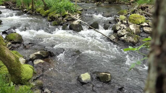 Elbbach bei Willmenrod im Westerwald