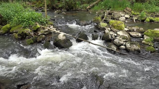 Elbbach bei Willmenrod im Westerwald