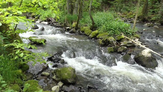 Elbbach bei Willmenrod im Westerwald