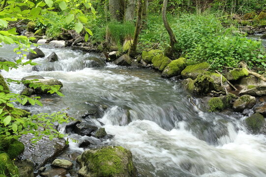 Elbbach bei Willmenrod im Westerwald