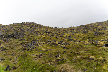 Mossy green lava field in Iceland