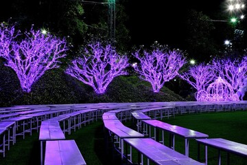 bridge at night