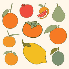 Set of Winter Fruit Simple Flat Line Illustration