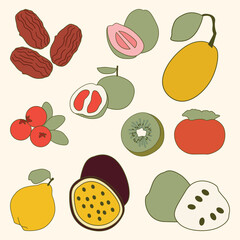 Set of Winter Fruit Simple Flat Line Illustration