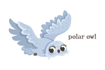 Polar Owl Bird with Beak as Animal of North Vector Illustration