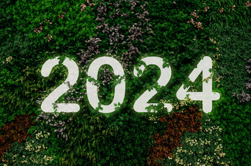 New year concept 2024 on tropical green nature leaf background.