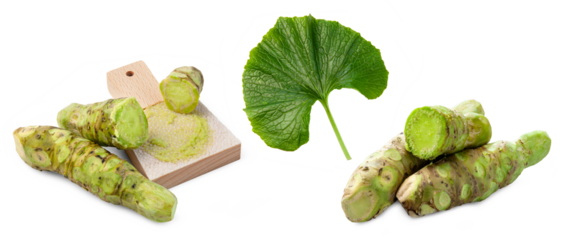 Japanese wasabi with leaf and grater on white background.