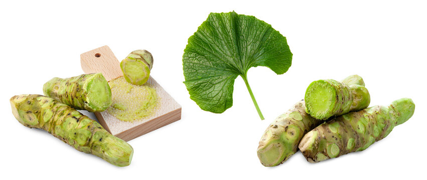 Japanese wasabi with leaf and grater on white background.