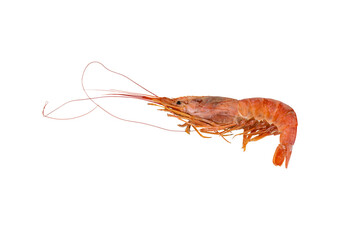 Red prawn or shrimp isolated on white background with clipping path. Full Depth of field. Focus stacking. PNG
