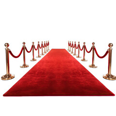 a red carpet with gold barriers creating a glamorous entrance