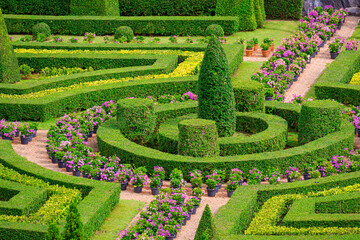 Beautiful Topiary trees with shrubs in European ornamental garden style at public park, garden...