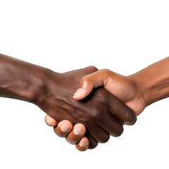 Two people shaking hands in a close-up shot