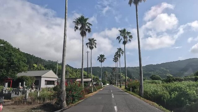 国道448・車載動画・2倍速（宮崎県・串間市）