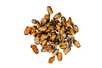 Heap of frozen peeled mussel meat isolated on white background with clipping path. Full Depth of field. Focus stacking. PNG