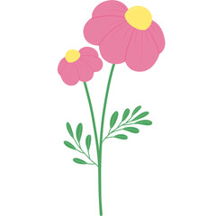 Pink flower illustration.
