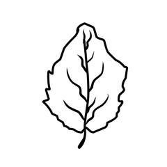 Hand Drawn Leaves 