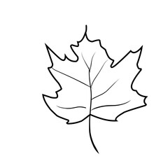 Hand Drawn Leaves 