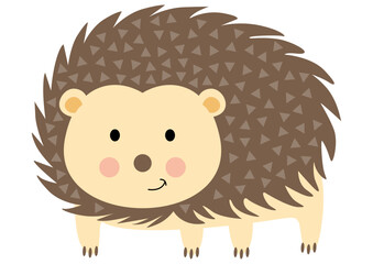 Friendly hedgehog isolated on white