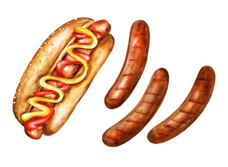 Hot dog and grilled sausages on white background. Watercolor illustration