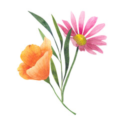 Bouquet with gold poppy flower Eschscholzia, cosmos flowers with dried flowers. Hand drawn watercolor illustration isolated on white background to design invitations, postcards and other print