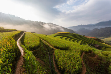 Green terraced rice fields in the rainy season at Mu Cang Chai, Yen Bai, Vietnam