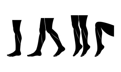 Human legs set illustration vector design