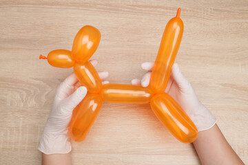 Hands holding balloon poodle dog