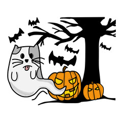 halloween  cat