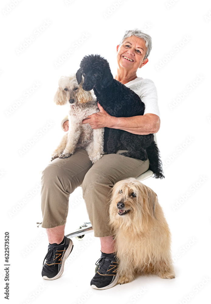 Canvas Prints woman and dogs in studio