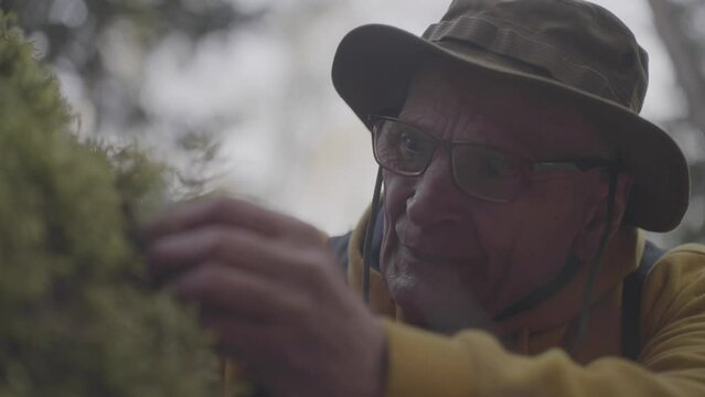 Curious elderly man in glasses looks at moss on tree trunk. Mature male researcher examines plants in deep forest closeup on blurred background